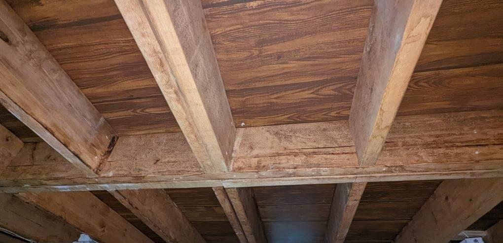 Cat Person Wood Planking