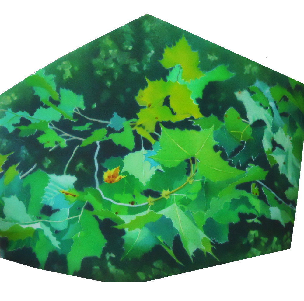 translucency, Robinson Nature Center