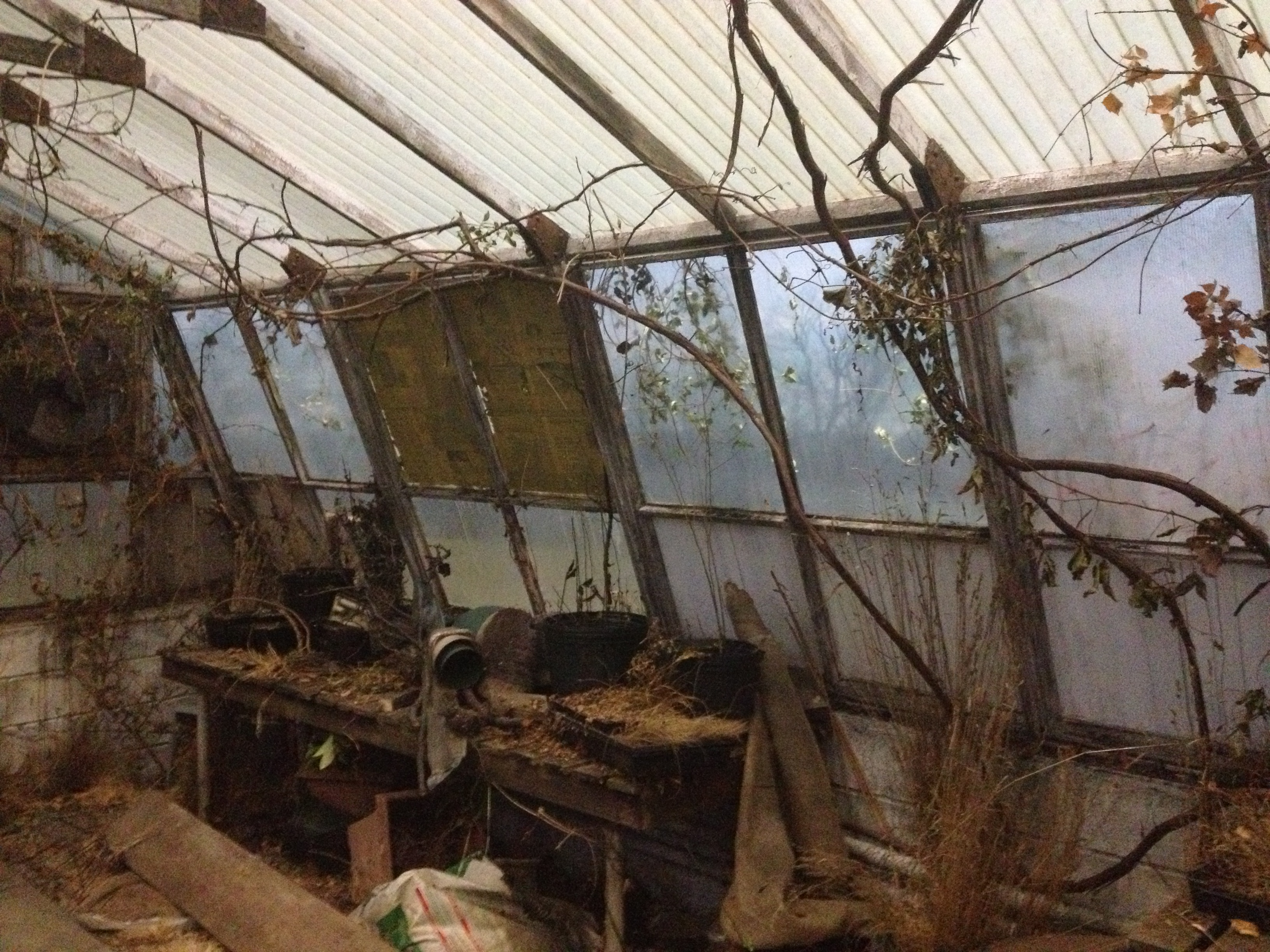 EA96E81B-FC14-4003-BD40-CF88A4895243