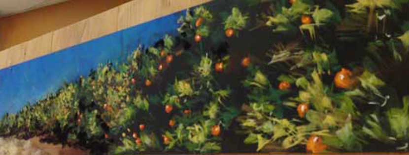 OrangeGrove