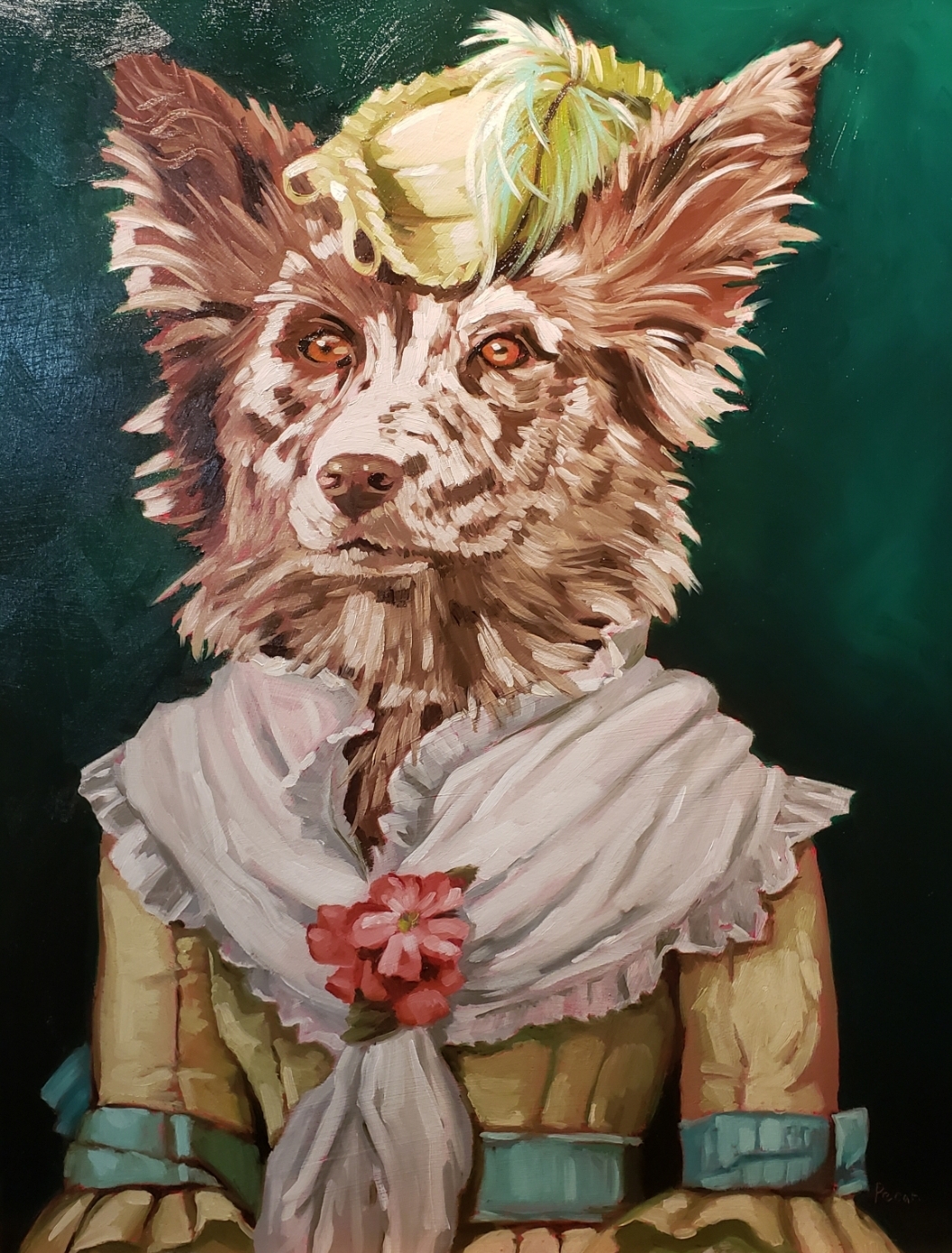 Pet portraits 