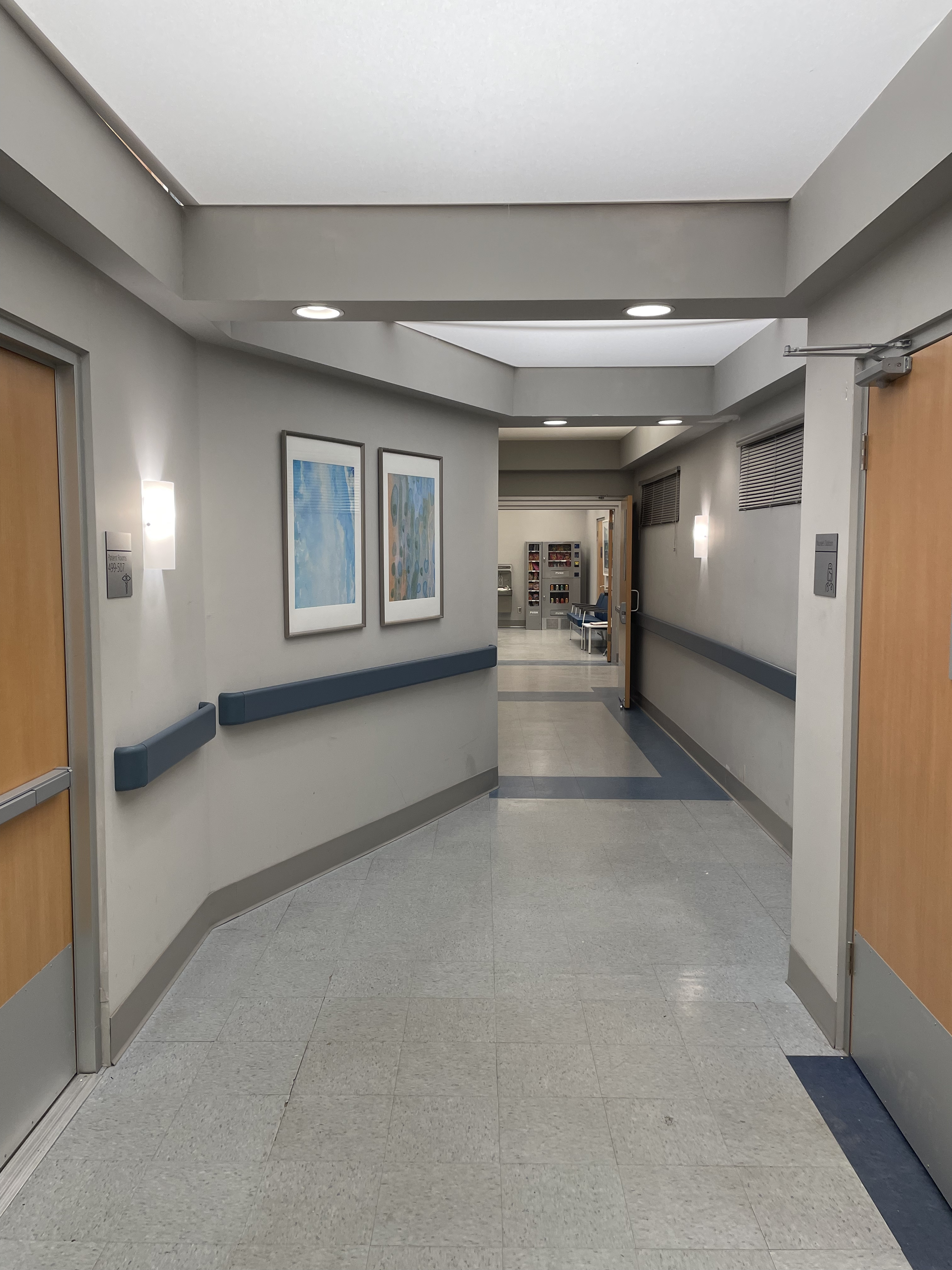 Law & Order: Organized Crime