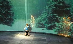Projection Designer